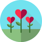icon 1 transform